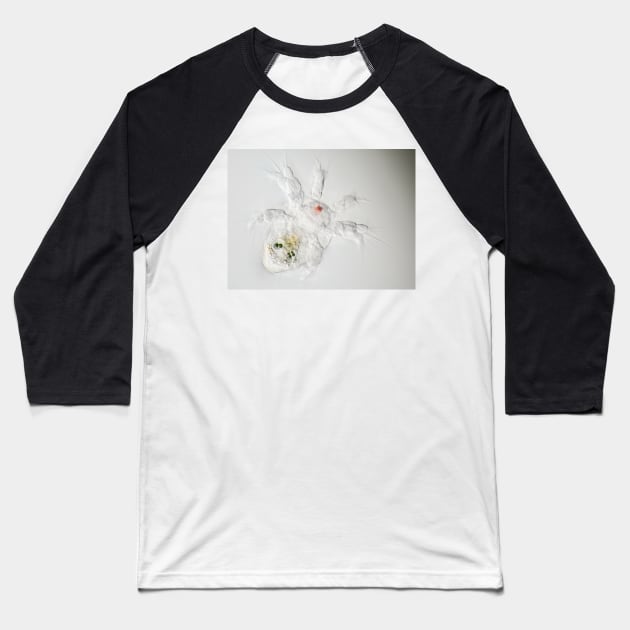 Nauplius Baseball T-Shirt by SDym Photography